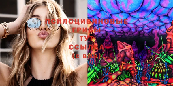 стаф Волоколамск
