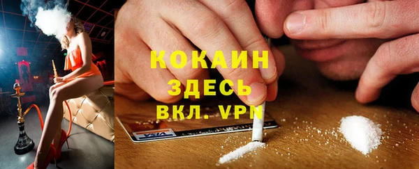 стаф Волоколамск