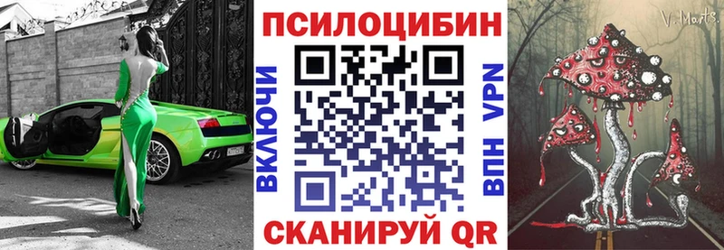 Купить  Ногинск  Псилоцибиновые грибы MAGIC MUSHROOMS 